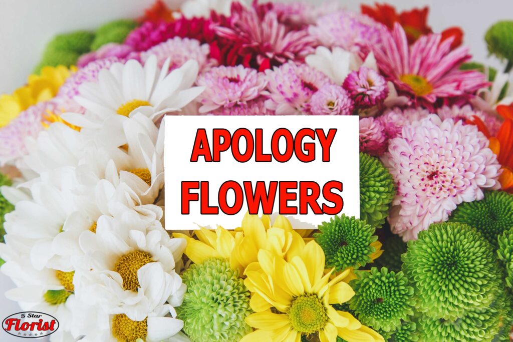 apology flowers Hamilton