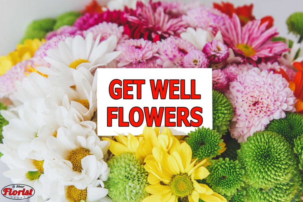 get well flowers Hamilton