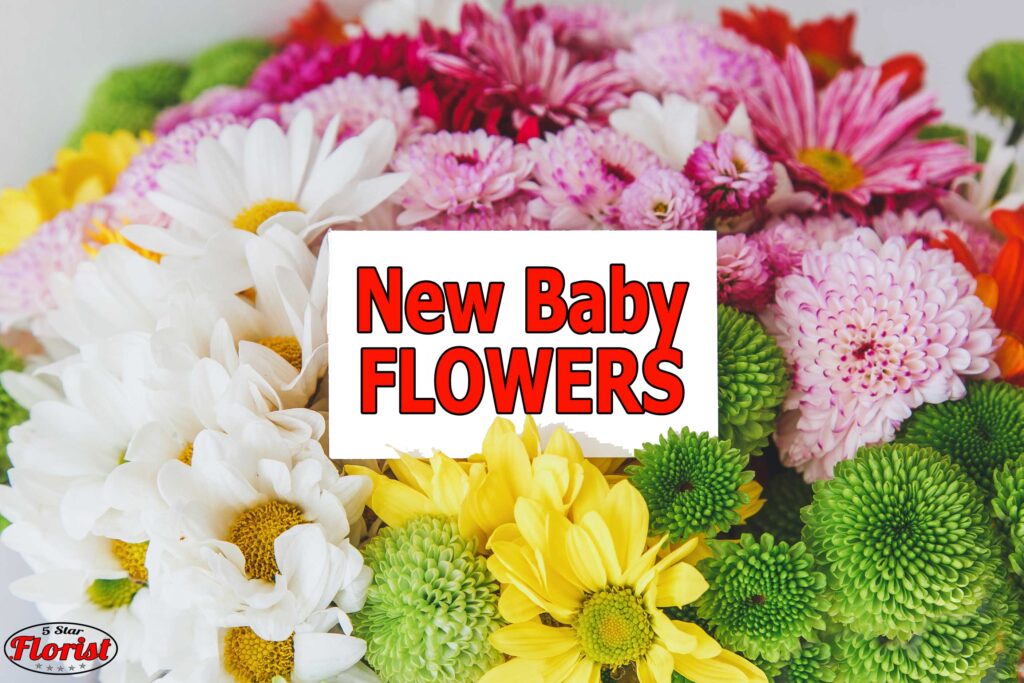 new baby flowers Hamilton