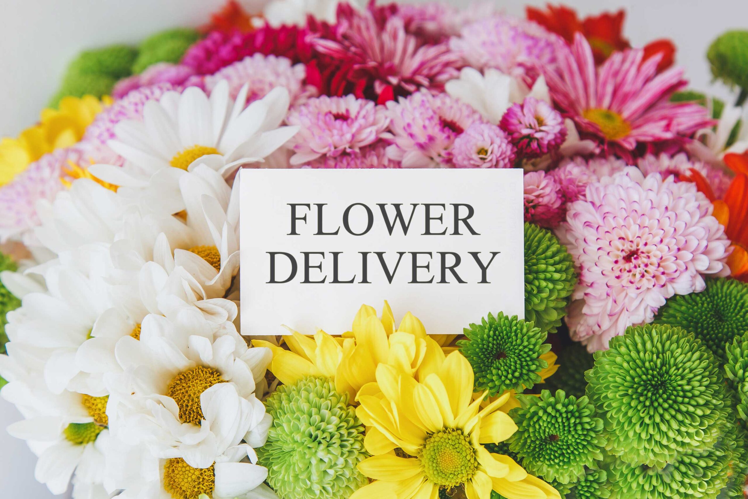 same-day-flower-delivery- Hamilton